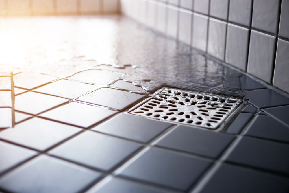 Accessible & Adaptive Homes for Enhanced Living